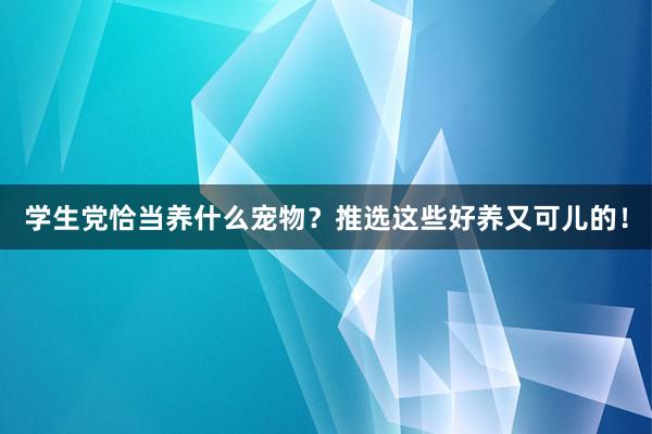 学生党恰当养什么宠物？推选这些好养又可儿的！
