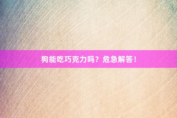 狗能吃巧克力吗？危急解答！